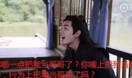 为了吃瓜我进娱乐圈了,我的跨界之旅